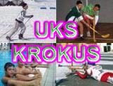 ukskrokus_baner2.jpg