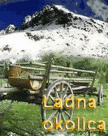baner1.gif