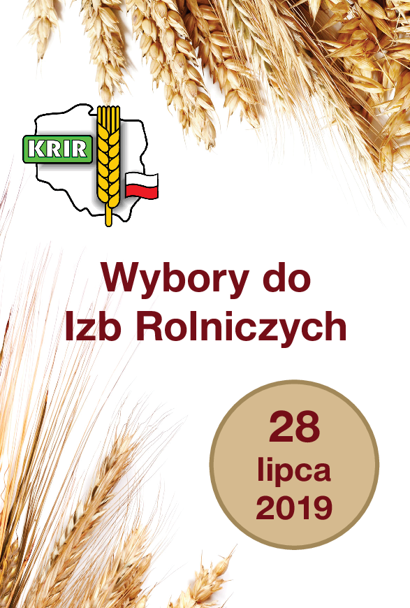 Wyboryir ulotka20191