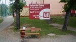 festyn_gala_talentow__14