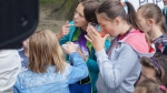 festyn_gala_talentow__43