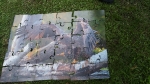 festyn_gala_talentow__54