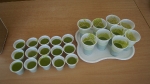poranek_dla_zdrowia_##_5