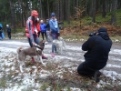 Kropelka Run i Piechowickie Morsowanie_129