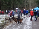 Kropelka Run i Piechowickie Morsowanie_133