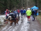 Kropelka Run i Piechowickie Morsowanie_134
