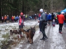 Kropelka Run i Piechowickie Morsowanie_135