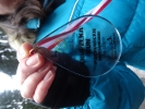 Kropelka Run i Piechowickie Morsowanie