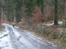 Kropelka Run i Piechowickie Morsowanie_200