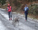 Kropelka Run i Piechowickie Morsowanie_235