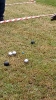 Turniej w boule_19