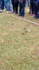 Turniej w boule_21