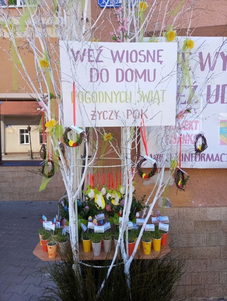 miniidrzewko