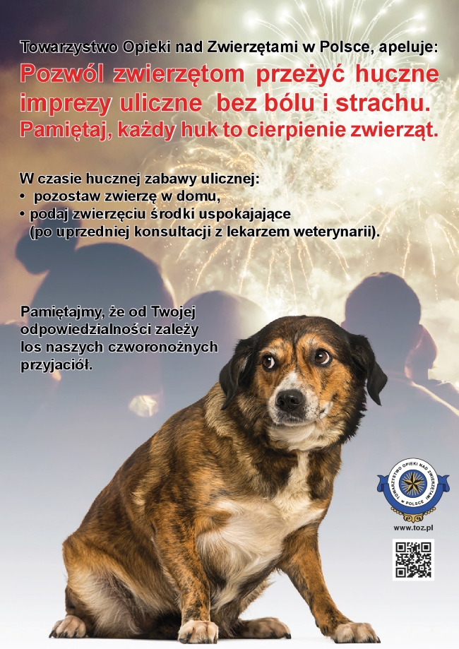 zwierzeta2017