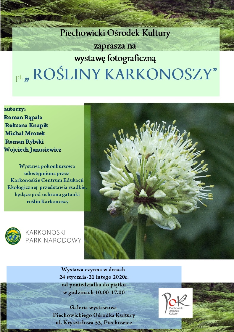 rośliny karkonoszy