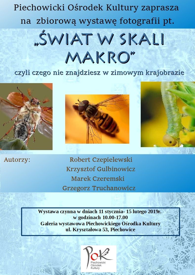 tn świat makro